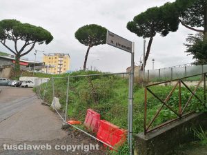 Viterbo - Erba alta in largo Giovannetti