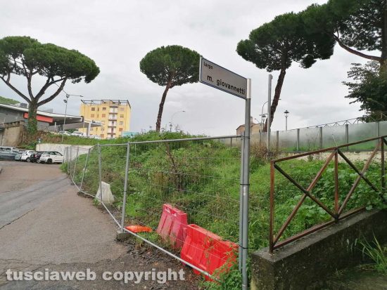 Viterbo - Erba alta in largo Giovannetti