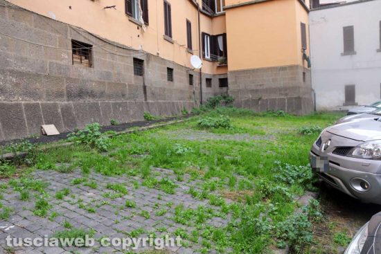 Viterbo - Erba alta e incuria a San Faustino
