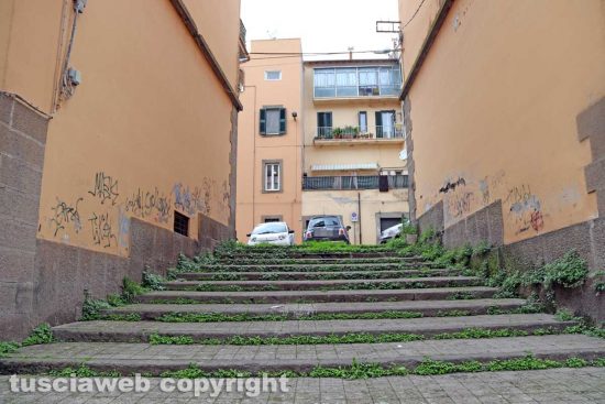 Viterbo - Erba alta e incuria a San Faustino