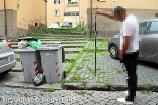 Viterbo - Il serpente venuto fuori a San Faustino