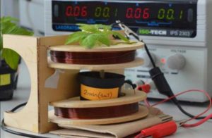 Unitus - Scienze ecologiche e biologiche