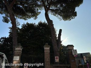 Civita Castellana - Liceo Artistico Ulderico Midossi