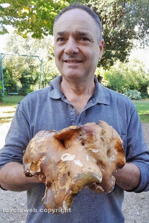 Roberto Celestini e il fungo porcino