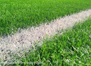 Un campo da calcio