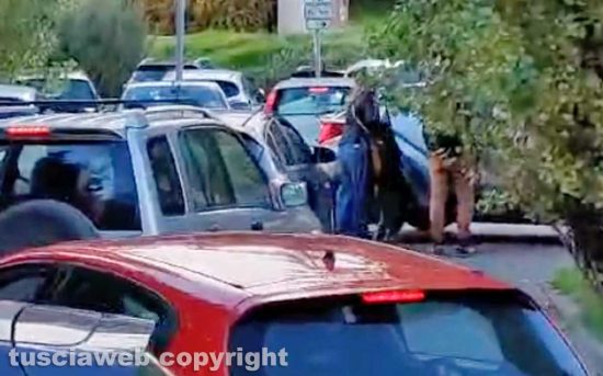 Viterbo - parcheggi selvaggi a Valle Faul - Auto rimosse