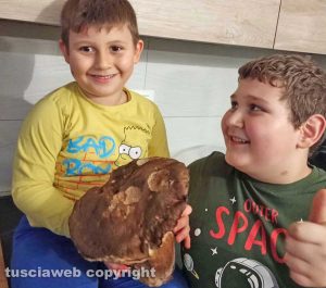 Fungo porcino da 733 grammi