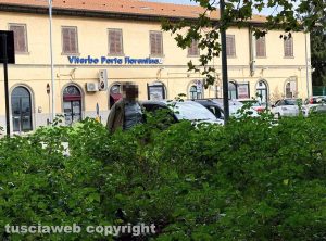 Viterbo - Erba alta in viale Trento