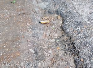 Viterbo - Via Giuseppe Ricci, strada dissestata