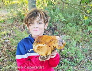 Vitorchiano - Mirko Monti trova un porcino da quasi un chilo