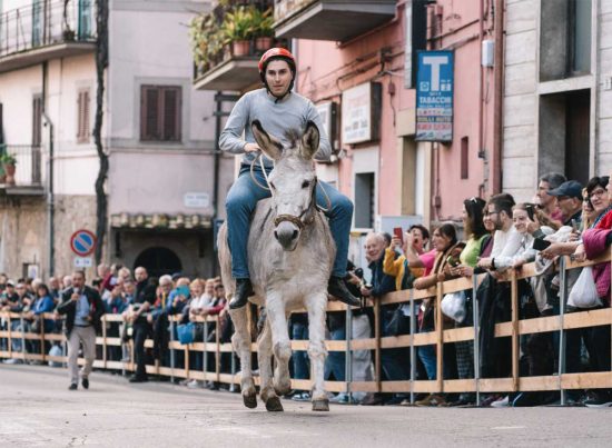 Canepina - Giornate della castagna 2024 - Palio degli Asini
