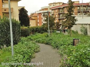 Viterbo - Erba alta nella strada pedonale che congiunge via Monte Cimini a via Monte Bianco