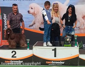 Viterbo - Esposizione Regionale - Challenge Etruria Winner - Il primo posto per Matteo Iubei e la sua cagnolona Aquamarine-Wave Ottavia Turina Minore