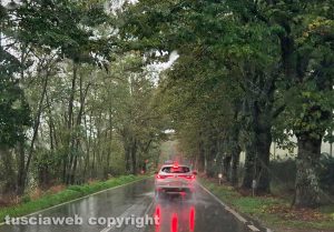 Montefiascone - Albero cade sulla Verentana