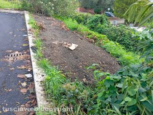 Viterbo - Rifiuti abbandonati in via Einaudi