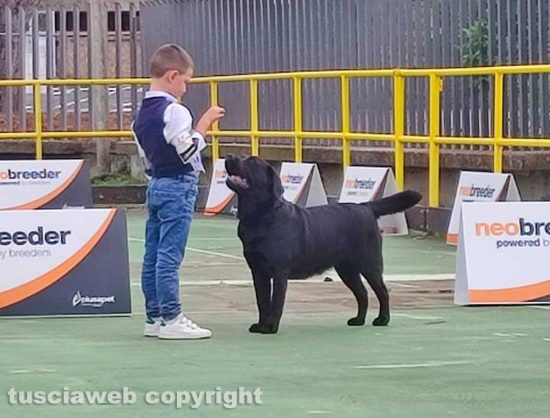 Viterbo - Esposizione Regionale - Challenge Etruria Winner - Il primo posto per Matteo Iubei e la sua cagnolona Aquamarine-Wave Ottavia Turina Minore