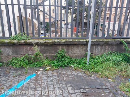 Viterbo - Erbacce vicino gli istituti scolastici Buratti