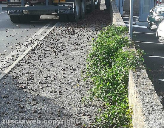 Carico di castagne in strada delle Pietrare