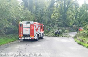 Orte - L'albero caduto in mezzo alla strada