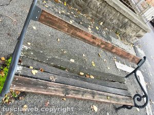 Viterbo - Panchine di viale Bruno Buozzi