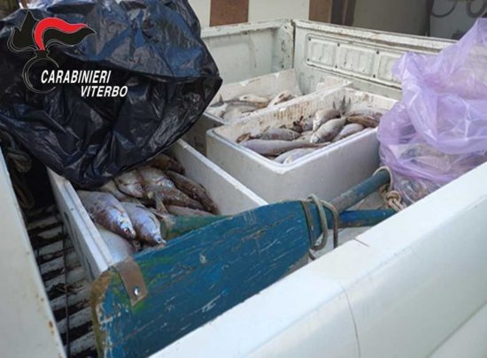 Caprarola - Bracconaggio, sequestrata barca con 60 kg di coregone al lago di Vico