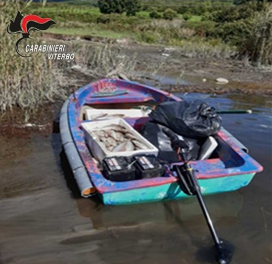 Caprarola - Bracconaggio, sequestrata barca con 60 kg di coregone al lago di VicoCaprarola - Bracconaggio, sequestrata barca con 60 kg di coregone al lago di Vico