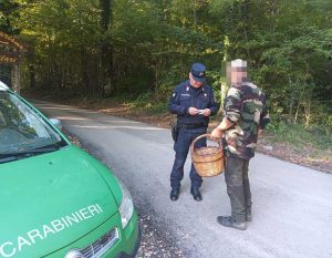 Rieti - Raccolta funghi - Controlli dei carabinieri