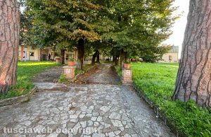 viale-alberato-del-Midossi