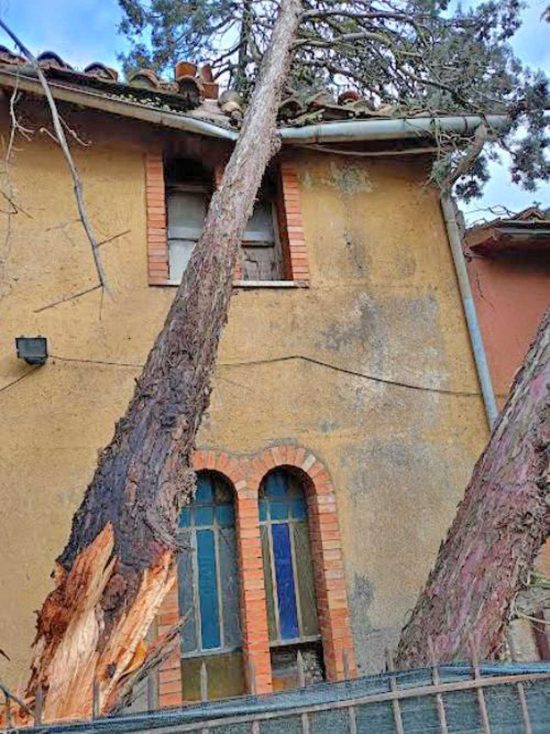 Fabrica di Roma - Alberi caduti sulla chiesetta del Redentore a Falerii Novi