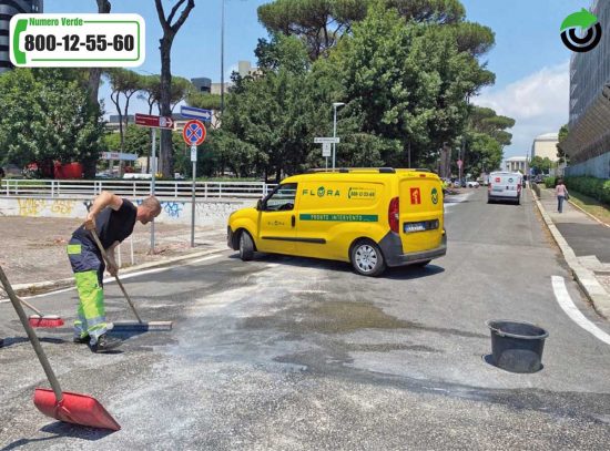 Flora Multiservice - Ripristino post incidente