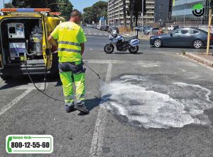 Flora Multiservice - Ripristino post incidente