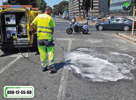 Flora Multiservice - Ripristino post incidente