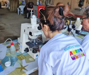 Tarquinia - Asl - Corso micologico