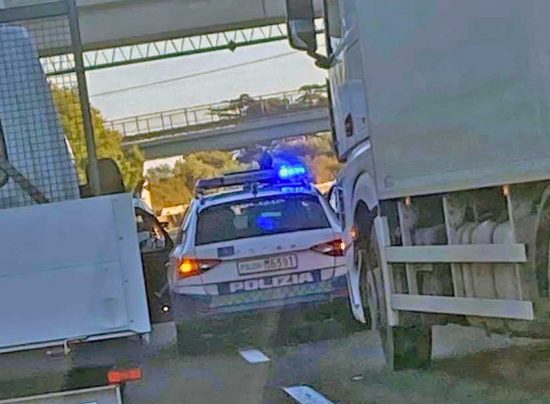 Orte - Cani vagano spauriti sulla superstrada