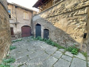 Viterbo - Quartiere San Pellegrino - Erba alta