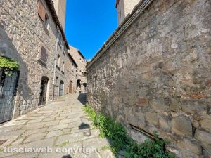 Viterbo - Quartiere San Pellegrino - Erba alta