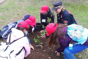 Viterbo - Carabinieri - Messa a dimora di alberi