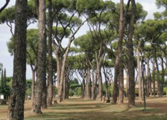 Roma - Pineta Sacchetti