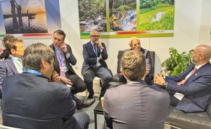 Mauro Rotelli - Cop29