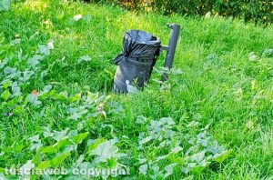 Viterbo - Il giardino di via Carlo Cattaneo
