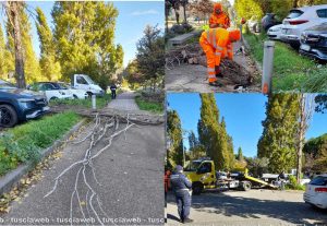 L'intervento - Albero caduto e pericolante in piazzale Paracadutisti della Folgore