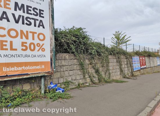 Viterbo - Rovi pendenti dal muro fino al marciapiede all'incrocio di via Sabotino e Carlo Cattaneo