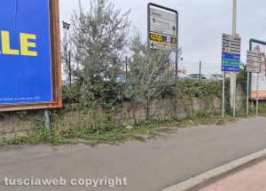 Viterbo - Rovi pendenti dal muro fino al marciapiede all'incrocio di via Sabotino e Carlo CattaneoViterbo - Rovi pendenti dal muro fino al marciapiede all'incrocio di via Sabotino e Carlo Cattaneo