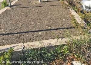 Viterbo - Erba alta in viale Bruno Buozzi