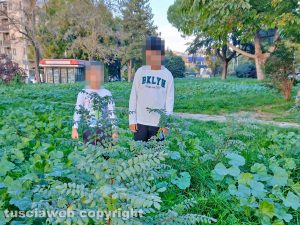 Viterbo - Parco pubblico in zona Carmine