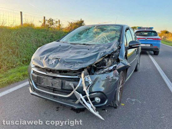 Viterbo - Camper si ribalta sulla Cassia nord e urta delle auto
