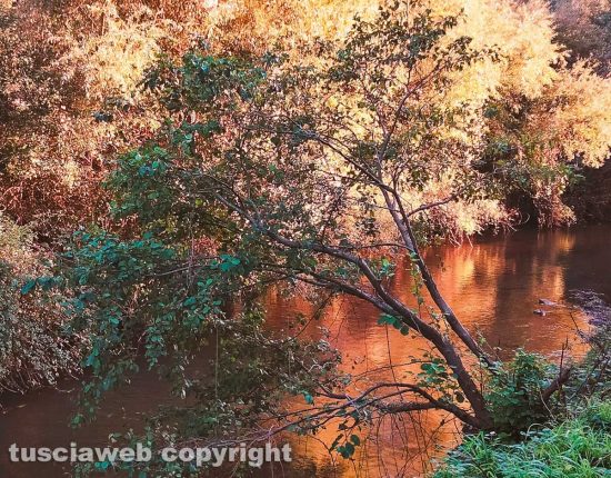 Il fiume Marta in autunno