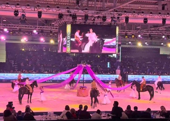 Verona - I cavalieri maremmani in esibizione