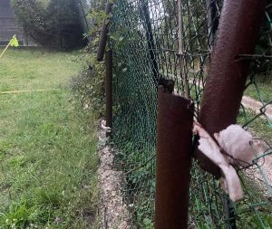 Viterbo - Lo stato del campo sportivo di San Martino al Cimino