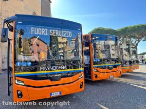 Viterbo - Bus Francigena